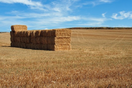 Auf der Meseta