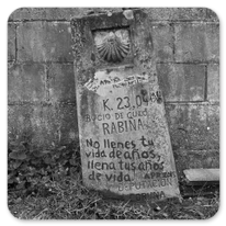 Fülle nicht dein Leben mit Jahren; fülle deine Jahre mit Leben.