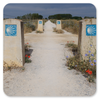 Verlaufen kaum möglich