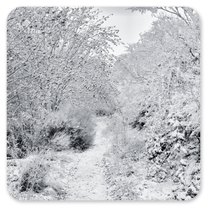 Zwischen dem Cruz de Ferro und Manjarin