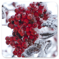 Winterliche Stimmung am Camino