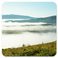 Der übliche Morgennebel am Camino Primitivo
