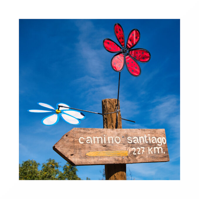 Bilderalbum Camino Frances